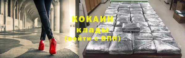 спиды Няндома