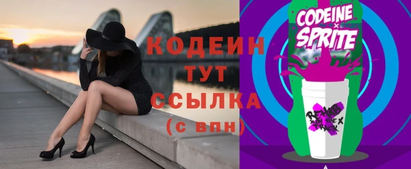 спиды Няндома