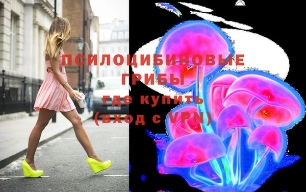 спиды Няндома