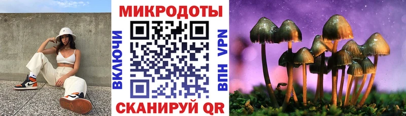 Галлюциногенные грибы прущие грибы  Харовск 